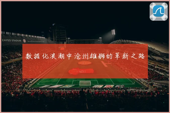 数据化浪潮中沧州雄狮的革新之路