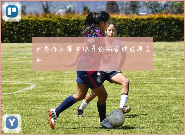 世界杯决赛中球员伤病管理成胜负手