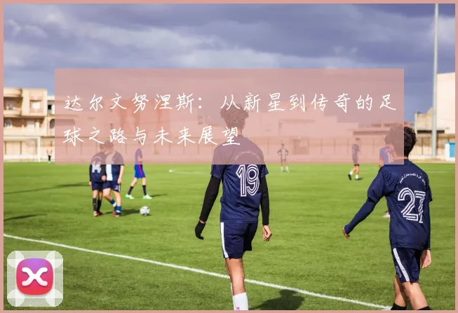 达尔文努涅斯：从新星到传奇的足球之路与未来展望