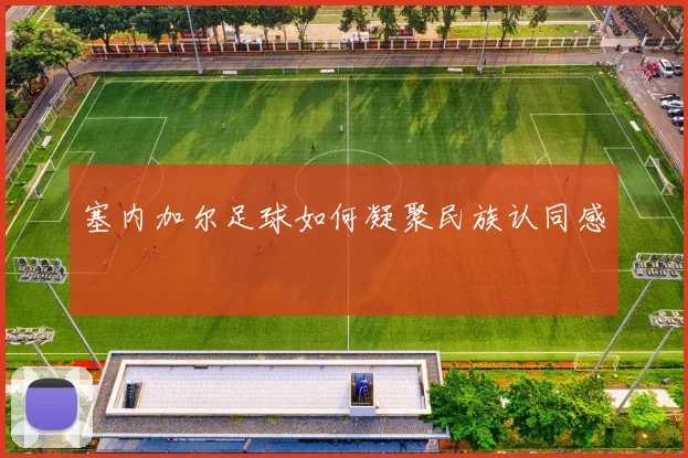 塞内加尔足球如何凝聚民族认同感