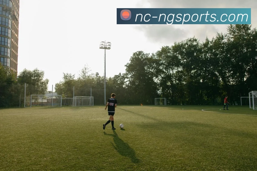 ng体育平台生态图